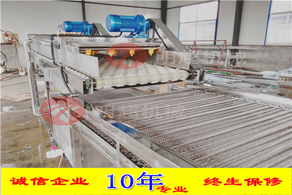 圣女果清洗機(jī) 圣女果清洗機(jī)