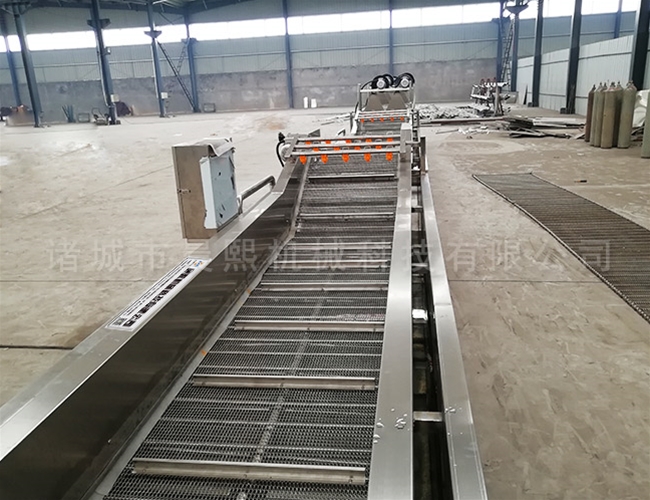 全自動大棗清洗機生產廠家